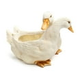 thumbnail image 1 of Planter Succulent Planter Double Head Resin Vase Succulent Pots For Home Animal, 1 of 6