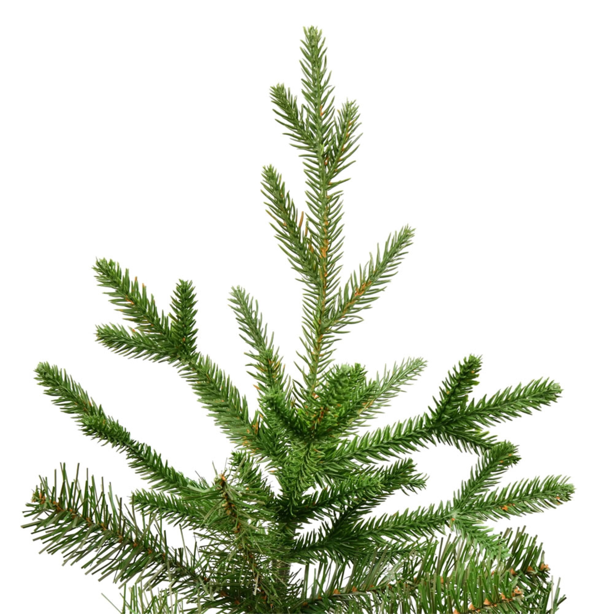Vickerman 12' x 68" Hoboken Fraser Fir Artificial Christmas Tree, Unlit