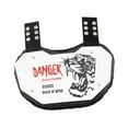 thumbnail image 3 of Lipstore Football Backboard Rear Lower Back Protector Adjustable Strap Abrasion Resistant, 3 of 8