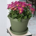 thumbnail image 6 of Bloem 8-in Terra Round Resin Planter - Living Green (Saucer Not Included), 6 of 7