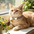 thumbnail image 4 of TYShandao Pet Collars with Customizable Names, 4 of 4