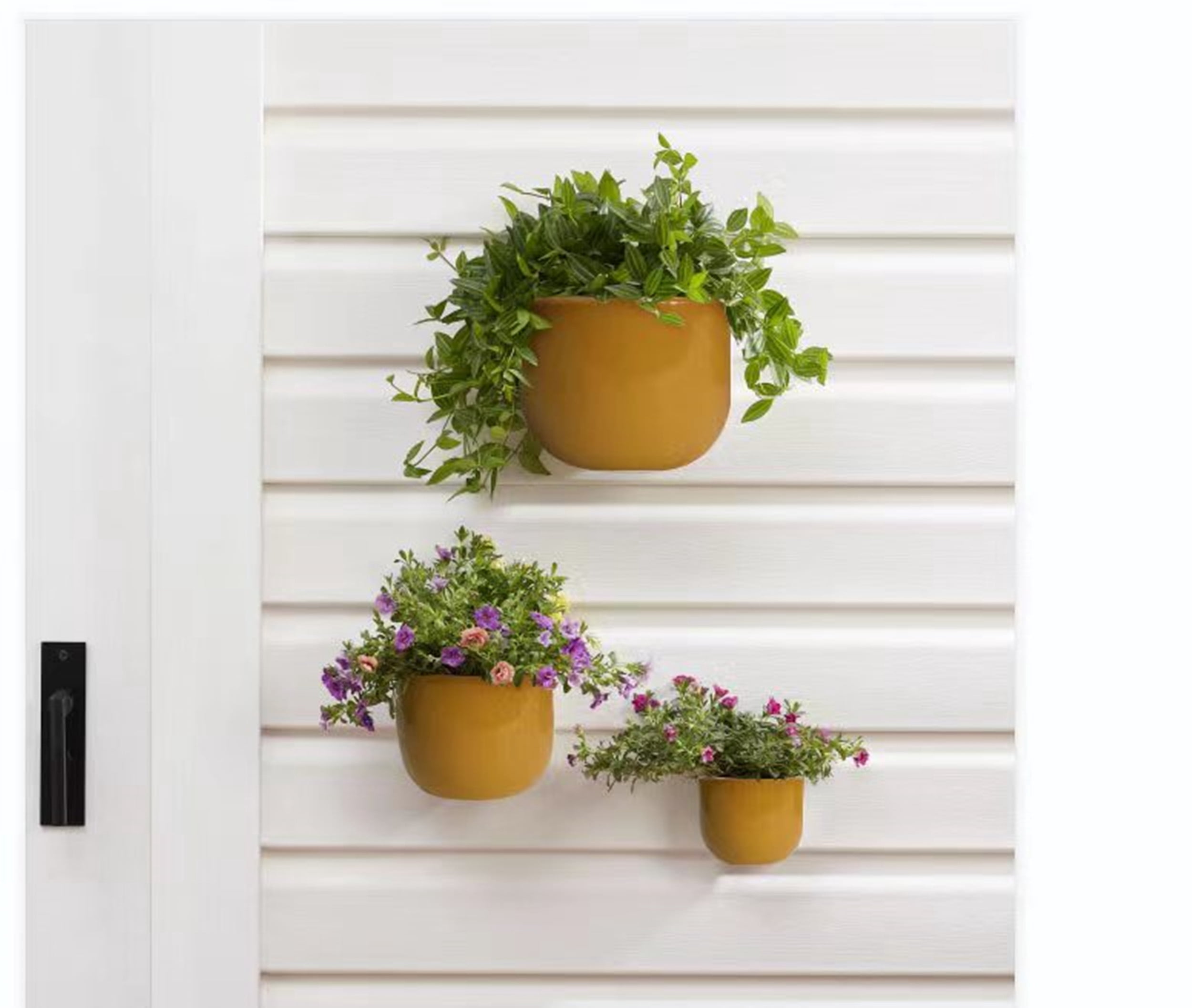 Better Homes & Gardens 4/6/8inch Wall Planters, Yellow, 3-Pack