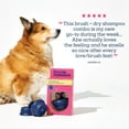 thumbnail image 3 of Pet Life Unlimited Waterless Powder All-in-One Applicator Dog Brush, Vanilla Ginger, 1pk, 3 of 11