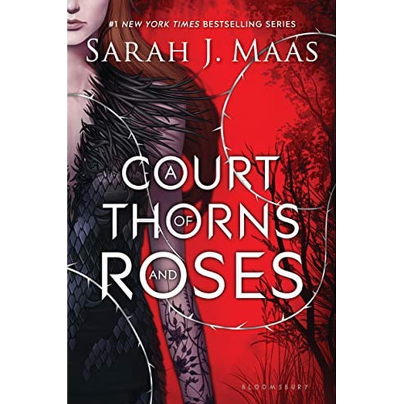 Pre-Owned A Court of Thorns and Roses (Paperback) 1619635186 9781619635180