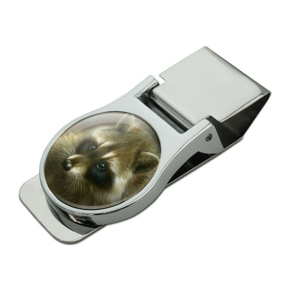 Raccoon Masked Bandit Satin Chrome Plated Metal Money Clip