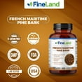 thumbnail image 6 of Fineland Vitamins French Maritime Pine Bark Extract Antioxidant Capsules 200 Count, 6 of 8