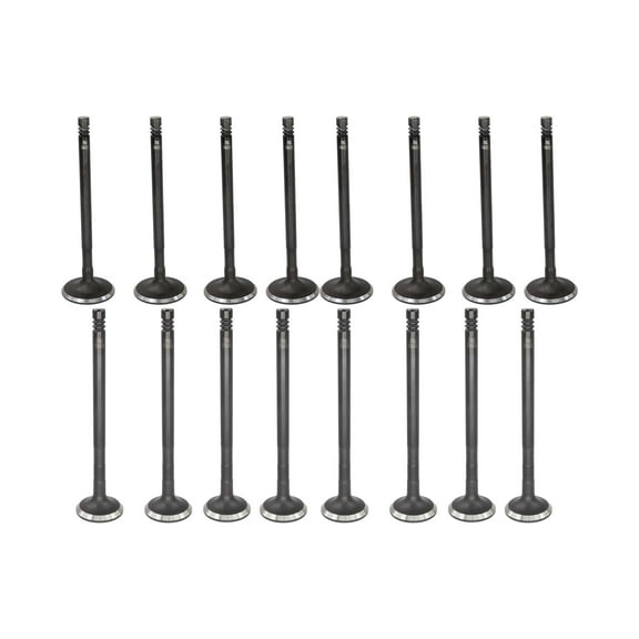 DNJ VK164313 Exhaust Intake Valve Kit Fits Cars & Trucks 11-17 Ford Fiesta L4 1.6L DOHC 16V EV4313 X8 IV4313 X8