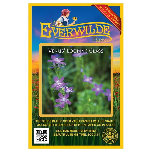 Everwilde Farms - 2000 Venus' Looking Glass Native Wildflower Seeds - Gold Vault Seed Packet