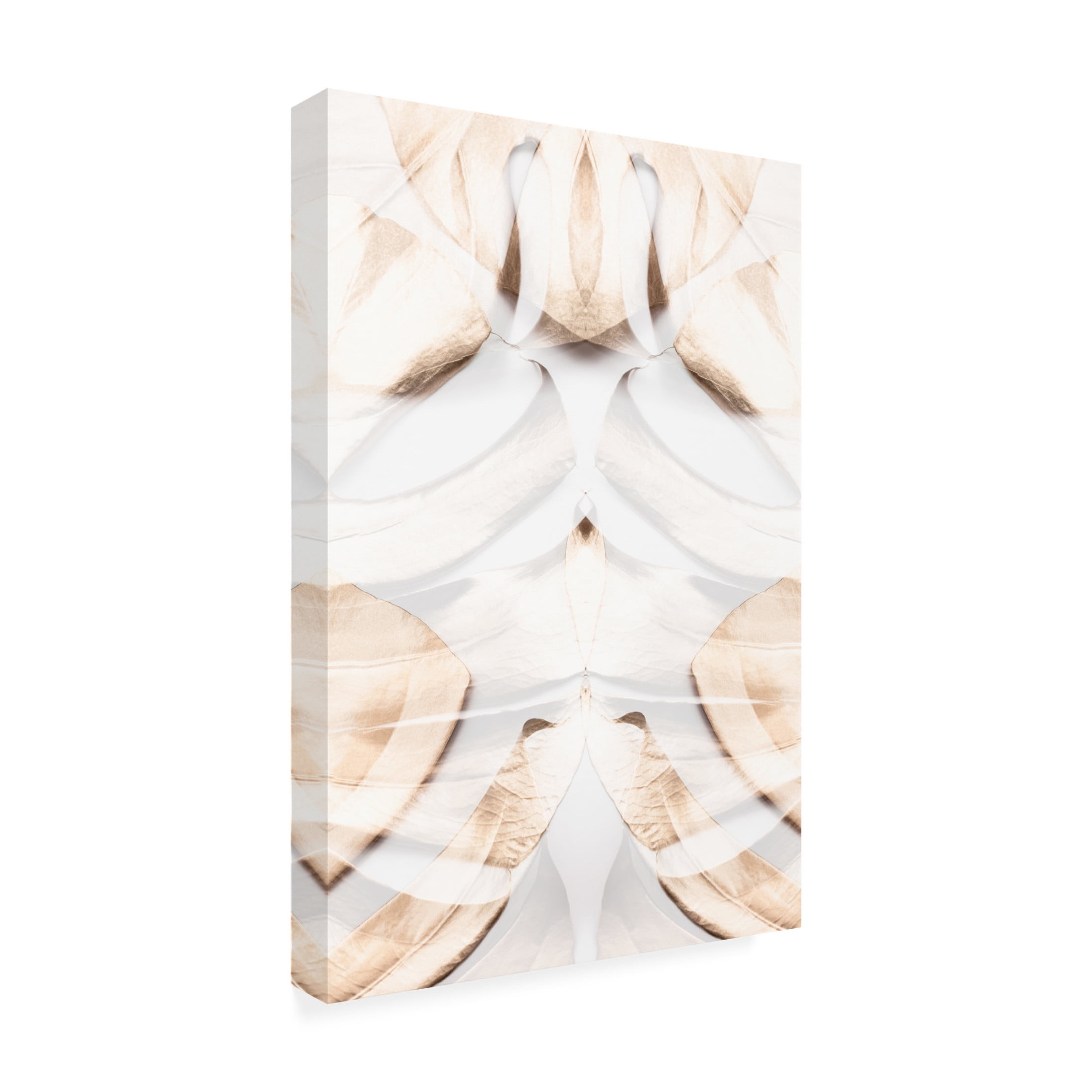Trademark Fine Art Pictufy Studio Monstera Gold 12 Canvas Wall Art