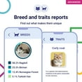 thumbnail image 4 of Koko DNA Test for Cats | Advanced Range | 150 Breeds, Health & Traits Reports | All Fees Included, 4 of 9