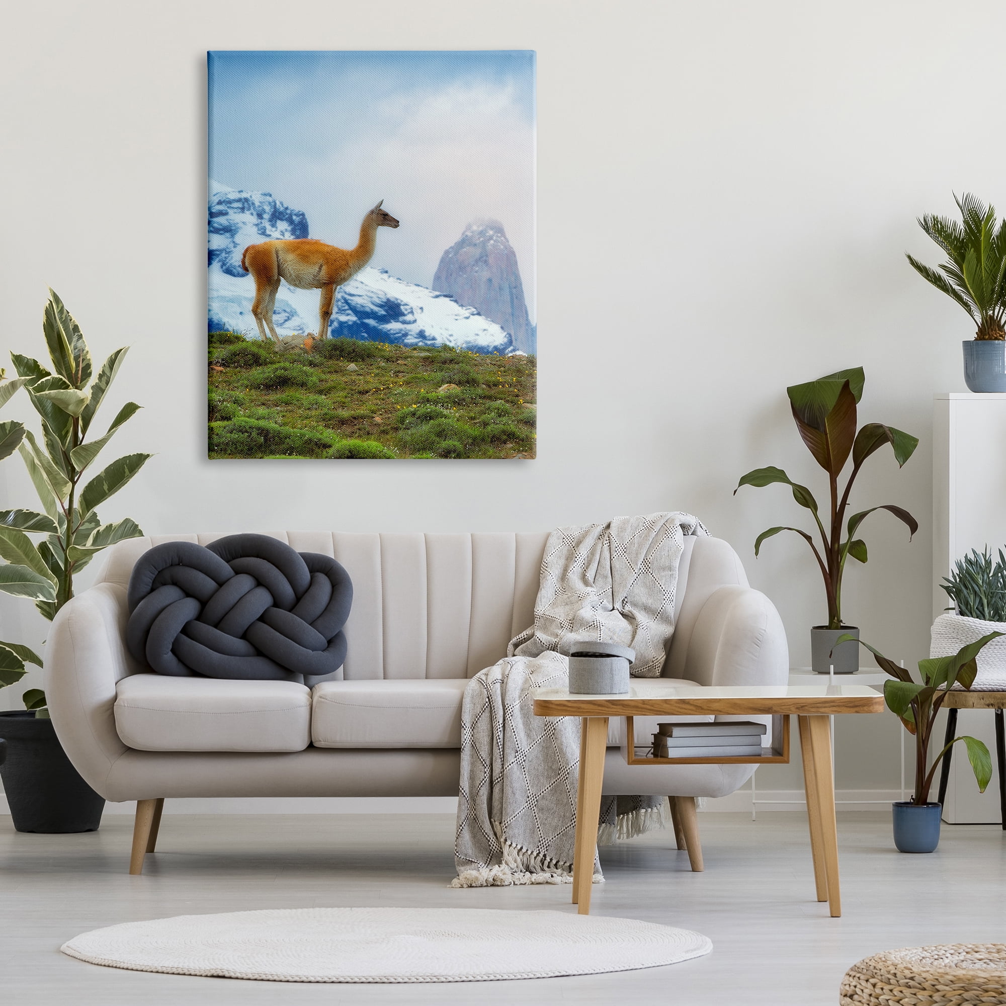 Stupell Industries Wild Llama Photography Animals & Insects Photography Gallery Wrapped Canvas Print Wall Art, 36 x 48