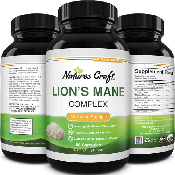 Lion's Mane Mushroom Memory Supplement Brain Support Mood Boost Chaga ...