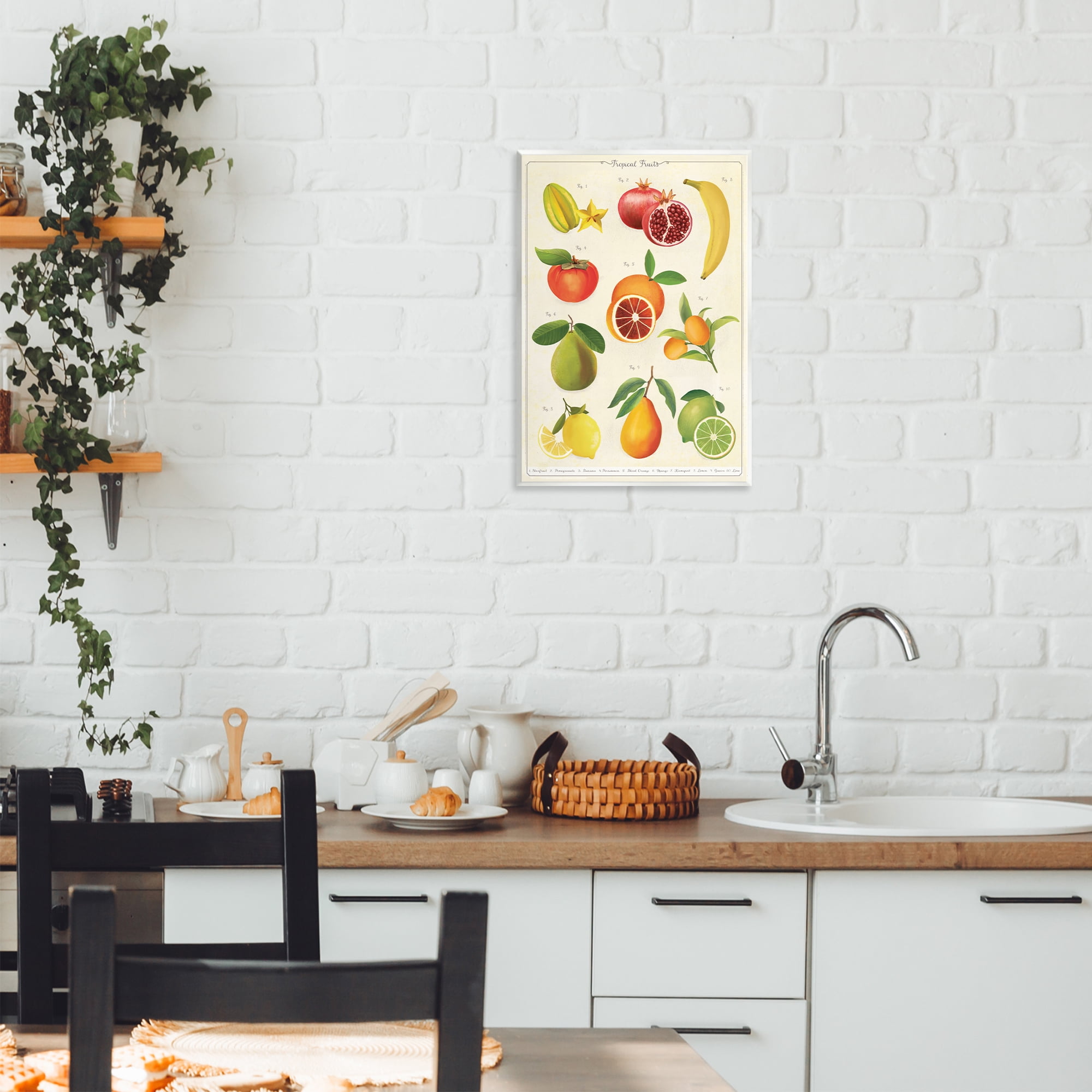 Stupell Industries Vintage Tropical Fruit Studies Wall Plaque Art, design by Diane Neukirch