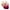 Multicolor29, variant on Diufon 4 Pack Wireless Comfortable Bra for Women Everyday Seamless V Neck Bras Ladies Support Push Up Bra