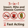 thumbnail image 6 of Sevin® 3-In-1 Insect, Mite & Disease Control Flower & Shrub Ready to Spray, 32 oz., 6 of 20