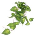 thumbnail image 3 of IFANLANDOR Lizard Box Plants Decor Fake Plant Ornament Light Green Plastic 1Pack, 3 of 7