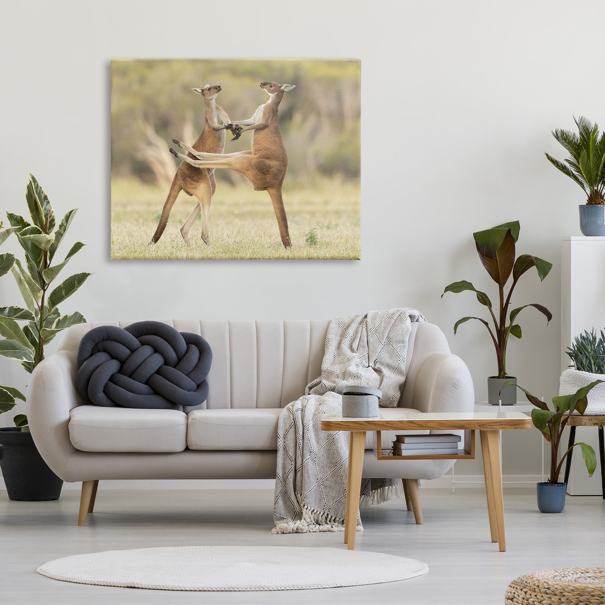 Stupell Industries Kangaroo Duo Photography Animals & Insects Photography Gallery Wrapped Canvas Art Print Wall Art, 48 x 36
