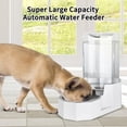thumbnail image 3 of Rizzari 6L Automatic Pet Water Dispenser with Stainless Steel Bowl for Small to Large Dogs and Cats（without filter）, 3 of 7