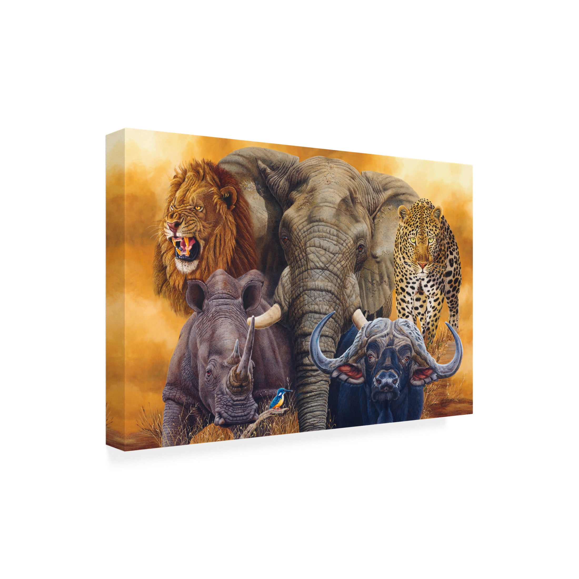 Canvas Wall Art - Delene Lambert 'The Big Five' Wall Art for Living Room, Bedroom, or Office Décor by Trademark Fine Art - 19 x 12 Inches