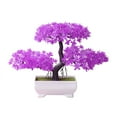 thumbnail image 2 of Plant Mold Lightweight Vivid Exquisite Mini Potted Plant for Store, 2 of 10