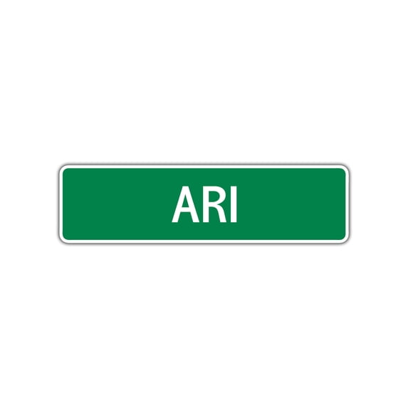 Ari Girls Children Indoor Outdoor Name Letter Printed Label Wall Plaque Decoration Aluminum Metal Sign 4"x13.5"