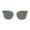 Clear Green, variant on Womens Butterfly Shape Panel Lens Plastic Minimal Sunglasses Clear Green