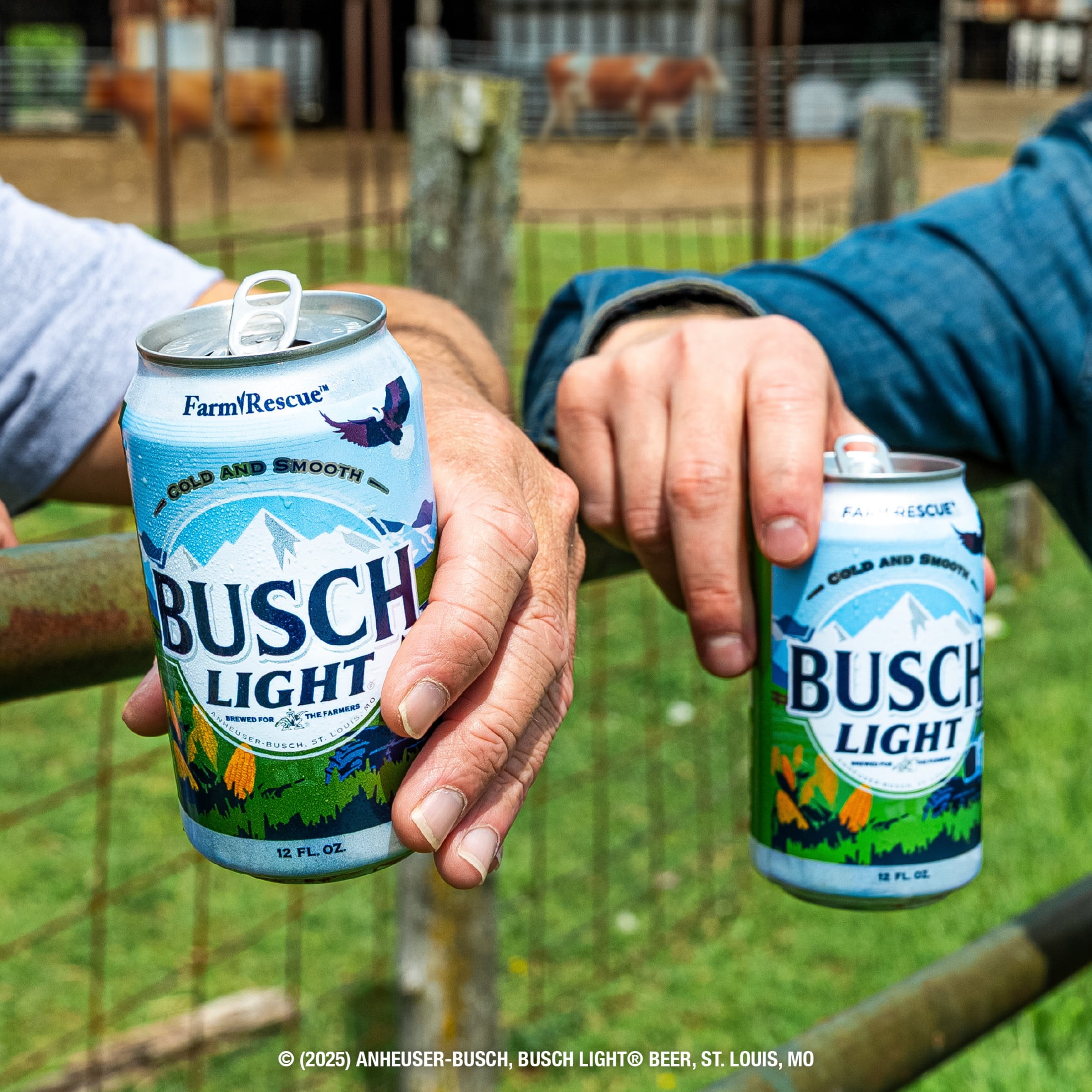 人気ビール 日本未発売 アメリカ BUSCH LIGHT ブッシュライト 30缶 Busch Light American Light Lager Beer 30 Pack 12 fl oz