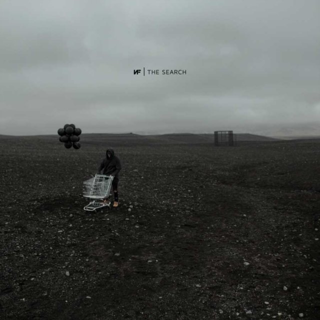 nf pop vinyl