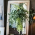 thumbnail image 5 of Faux Artificial Asparagus Setaceus Hanging Fern Plant, 5 of 9