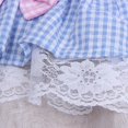 thumbnail image 6 of FNNMNNR Summer Dog Dresses Girl Puppy Cat Plaid Princess Dress Party Birthday Pet Vest Clothes for Small Medium Dogs, 6 of 8