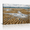 D, variant on XaaKee Canvas Wall Art Prints Dark Storm Clouds Coastal Landscape Art Prints Inner Framed 18*12Inch