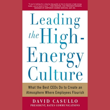Leading the High Energy Culture: What the Best CEOs Do to Create an Atmosphere Where Employees Flourish -