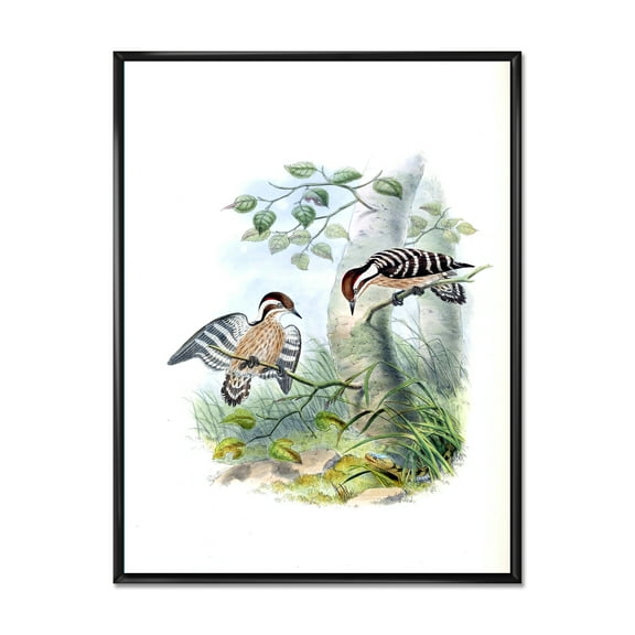 Ancient Birds In The Wild I 12 in x 20 in Framed Painting Canvas Art Print, by Designart