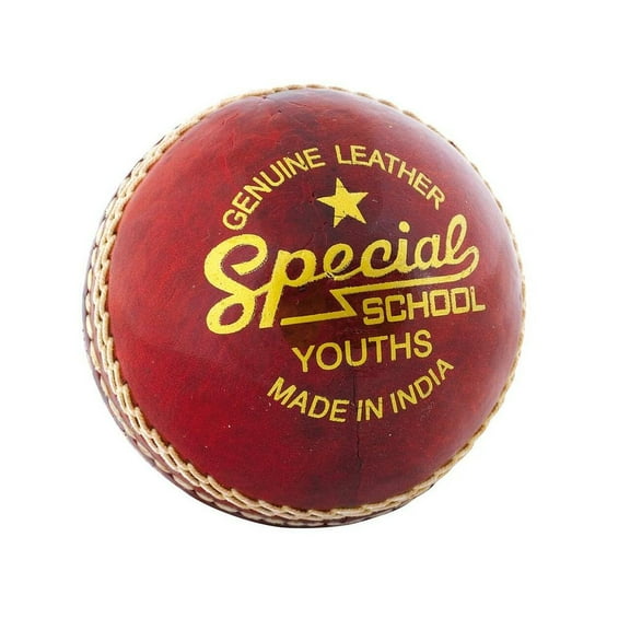 Readers Boys/Girls Special School Leather Cricket Ball