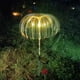 thumbnail image 1 of Teissuly Solar Garden Lights Solar Fiber Optic Lights Decorations 7 Color Changing Solar Lights for Garden Terrace Lawn Landscape Teissuly WER202310230559, 1 of 5