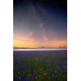 thumbnail image 2 of Marchegiani, Roberto 11x14 Gold Ornate Wood Framed with Double Matting Museum Art Print Titled - Night Flowers, 2 of 4