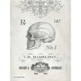 thumbnail image 2 of Elegant Skeleton Skull Poster Print by Gwendolyn Babbitt, 2 of 2