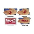 thumbnail image 4 of Loftus International 144 Fortune Teller Miracle Fish - Fortune Telling Fish Novelty Item, 4 of 5