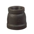 thumbnail image 1 of Conector para manguera Anvil International Couple, negro, 1 x 3/4 pulgadas, 1 of 1
