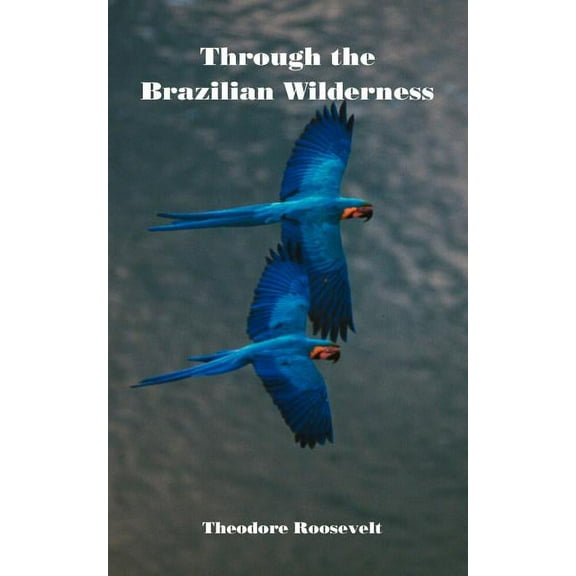 Through the Brazilian Wilderness (Paperback)