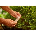 thumbnail image 3 of Bâtonnets d'engrais pour arbres et arbustes Miracle-Gro® 15-5-10, 3 of 6