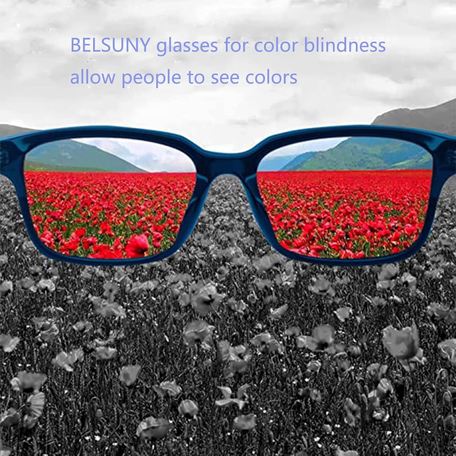 Salelign Colorblind Correction Glasses, Indoor and Outdoor Use