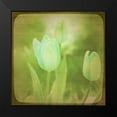 thumbnail image 2 of Jorgensen, Jennifer 12x12 Black Modern Framed Museum Art Print Titled - White Flowers VIII, 2 of 5