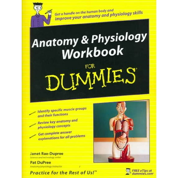 Pre-Owned Anatomy and Physiology Workbook For Dummies (For Dummies Series) Paperback