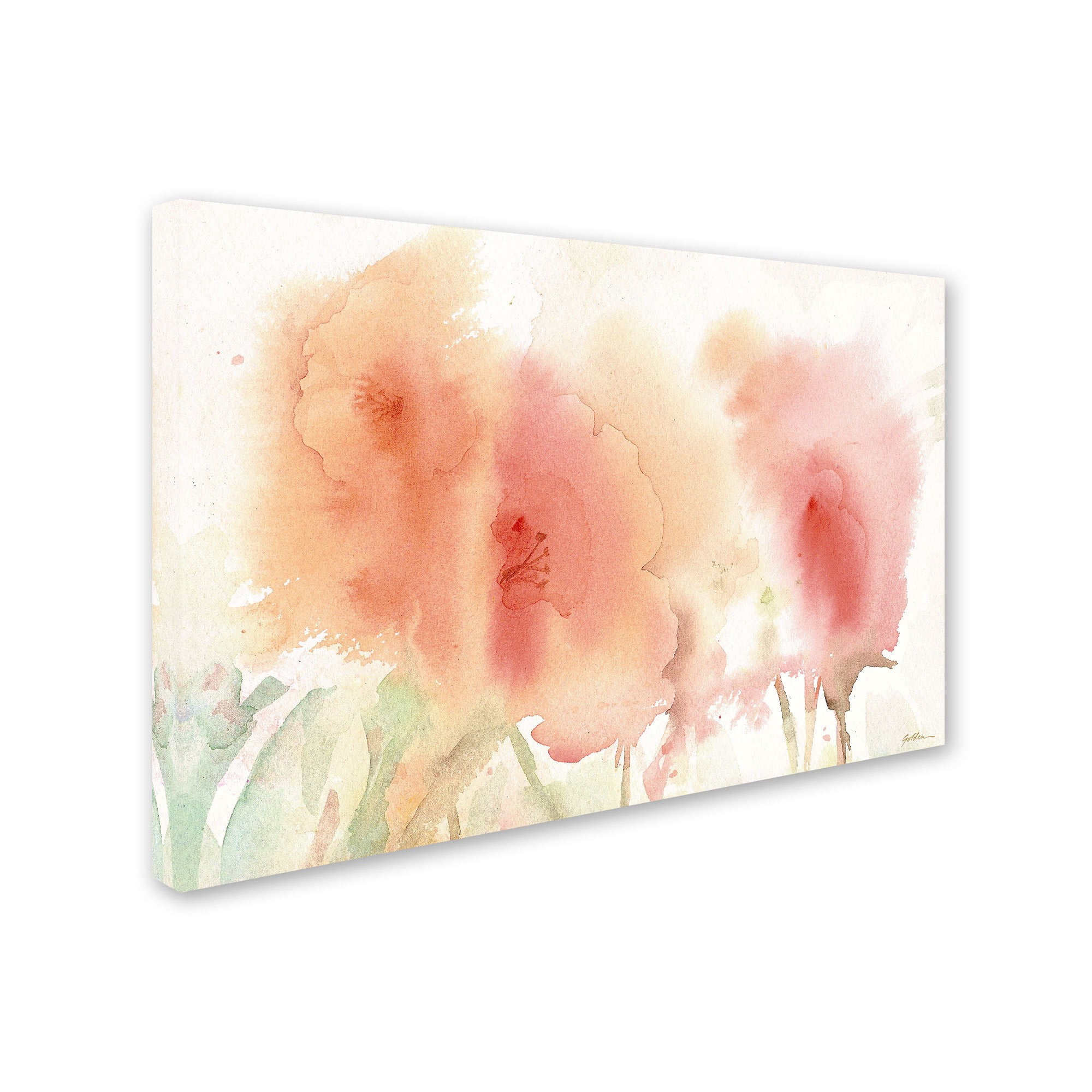 Trademark Fine Art "Coral Composition" Canvas Art by Sheila Golden