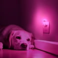thumbnail image 3 of YANSUN 0.5-W Integrated LED  Plug in Night Light Puppy Multicolor RGB & Warm White Kids Night Light, Button Adjustable, Dusk to Dawn, 1-Pack, 3 of 8