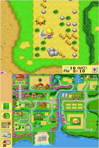 harvest moon for ds