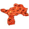 thumbnail image 3 of Ropa para mascotas de Halloween Allinless Decoraciones de Halloween, 3 of 3