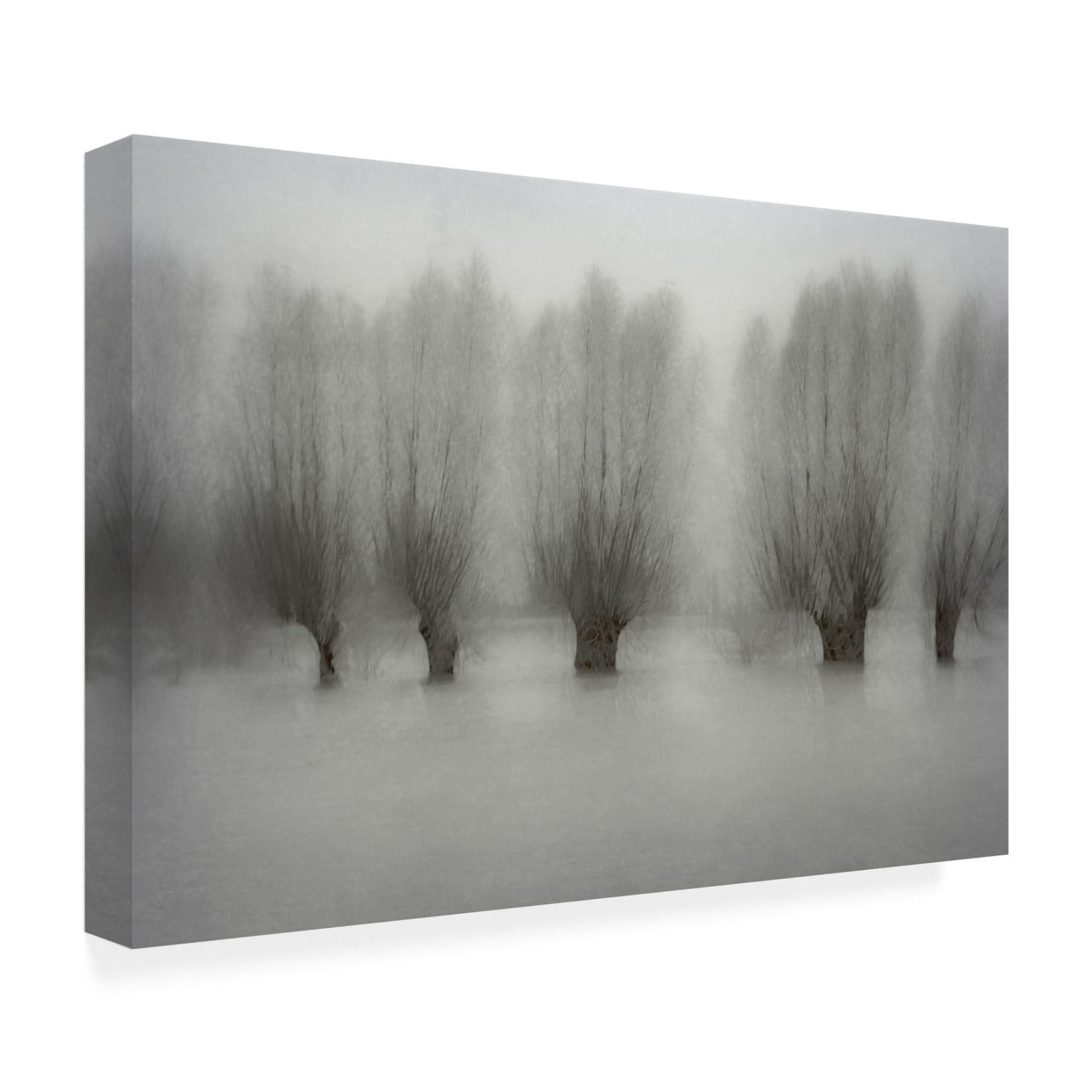Canvas Wall Art - Nel Talen 'High Water' Wall Art for Living Room, Bedroom, or Office Décor by Trademark Fine Art - 24 x 16 Inches