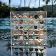 thumbnail image 6 of TNOBHG Magnetic Shell Showcase Box Acrylic Seashell Showcase Box with Magnetic Design Stand Transparent Shell Storage Container for Jewelry Ornaments Acrylic, 6 of 8